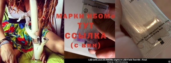 сатива Горнозаводск