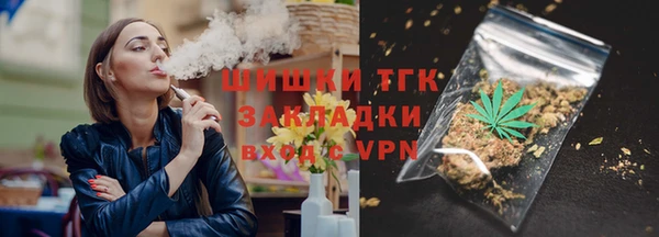 сатива Горнозаводск