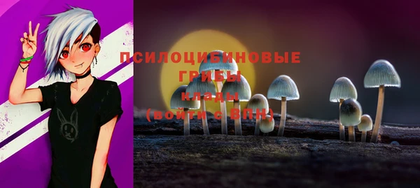 сатива Горнозаводск