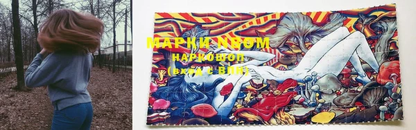сатива Горнозаводск