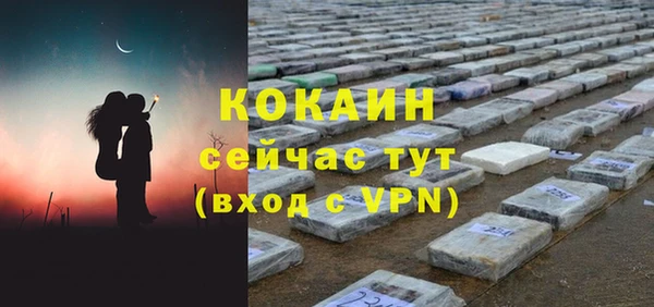 сатива Горнозаводск