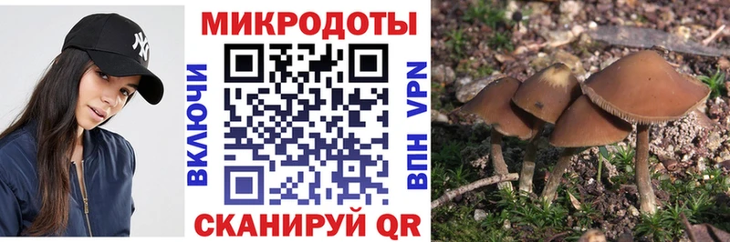 Псилоцибиновые грибы ЛСД  Тавда 